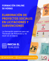 Curso Online "Elaboración de Proyectos Sociales en Licitaciones y Subvenciones" 